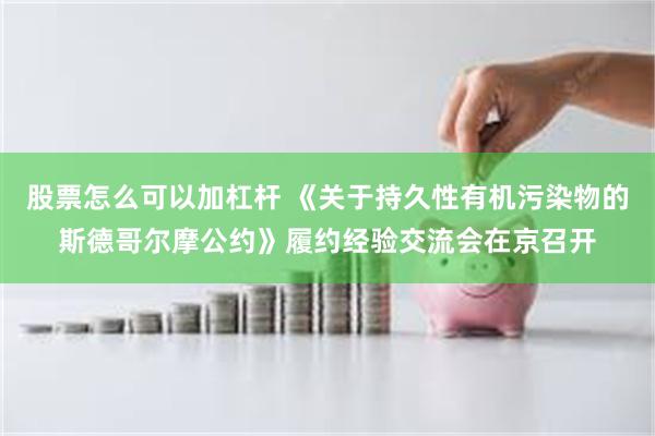 股票怎么可以加杠杆 《关于持久性有机污染物的斯德哥尔摩公约》履约经验交流会在京召开