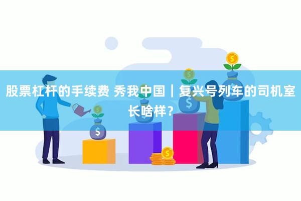 股票杠杆的手续费 秀我中国｜复兴号列车的司机室长啥样？