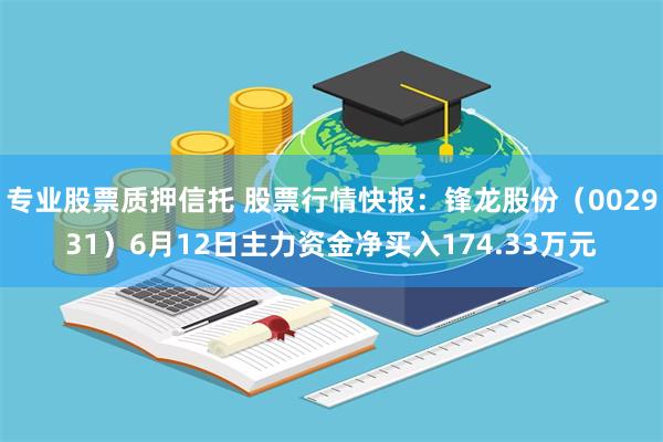 专业股票质押信托 股票行情快报：锋龙股份（002931）6月12日主力资金净买入174.33万元