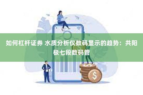 如何杠杆证券 水质分析仪数码显示的趋势：共阳极七段数码管