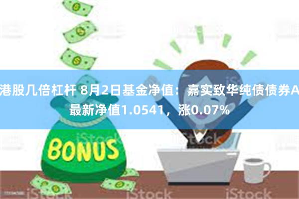 港股几倍杠杆 8月2日基金净值：嘉实致华纯债债券A最新净值1.0541，涨0.07%