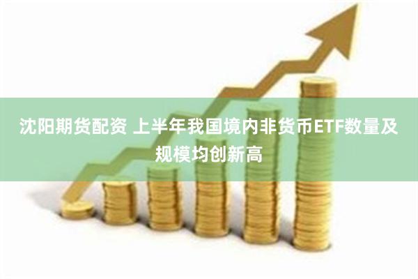 沈阳期货配资 上半年我国境内非货币ETF数量及规模均创新高