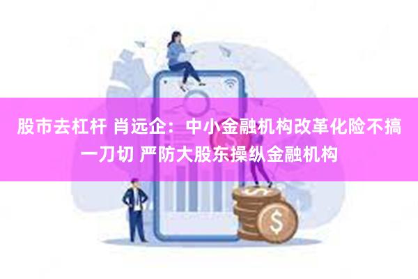 股市去杠杆 肖远企：中小金融机构改革化险不搞一刀切 严防大股东操纵金融机构