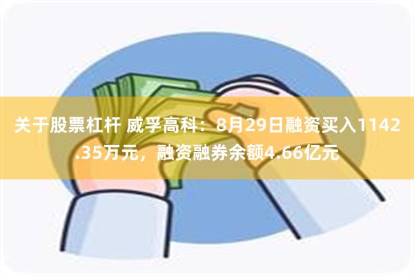 关于股票杠杆 威孚高科：8月29日融资买入1142.35万元，融资融券余额4.66亿元