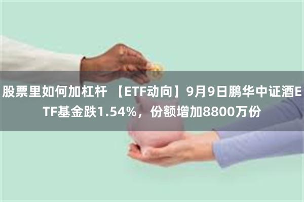 股票里如何加杠杆 【ETF动向】9月9日鹏华中证酒ETF基金跌1.54%，份额增加8800万份