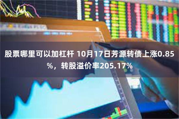 股票哪里可以加杠杆 10月17日芳源转债上涨0.85%，转股溢价率205.17%