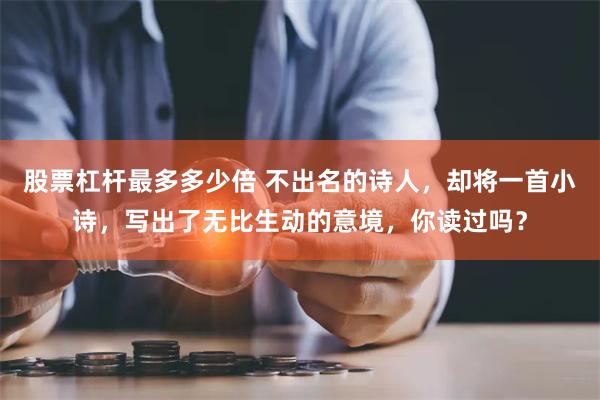 股票杠杆最多多少倍 不出名的诗人，却将一首小诗，写出了无比生动的意境，你读过吗？