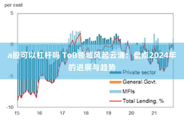 a股可以杠杆吗 ToB领域风起云涌：盘点2024年的进展与趋势