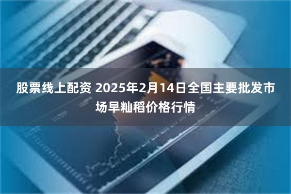 股票线上配资 2025年2月14日全国主要批发市场早籼稻价格行情